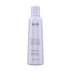 Richée Soul Blond Condicionador Desamarelador 250ml