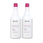 Richée Bioplástica Kit Defrizante Profissional (2x1L)